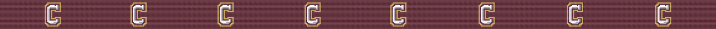 College of Charleston Hand-stitched Needlepoint Belt