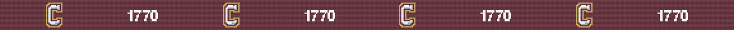 College of Charleston Hand-stitched Needlepoint Belt