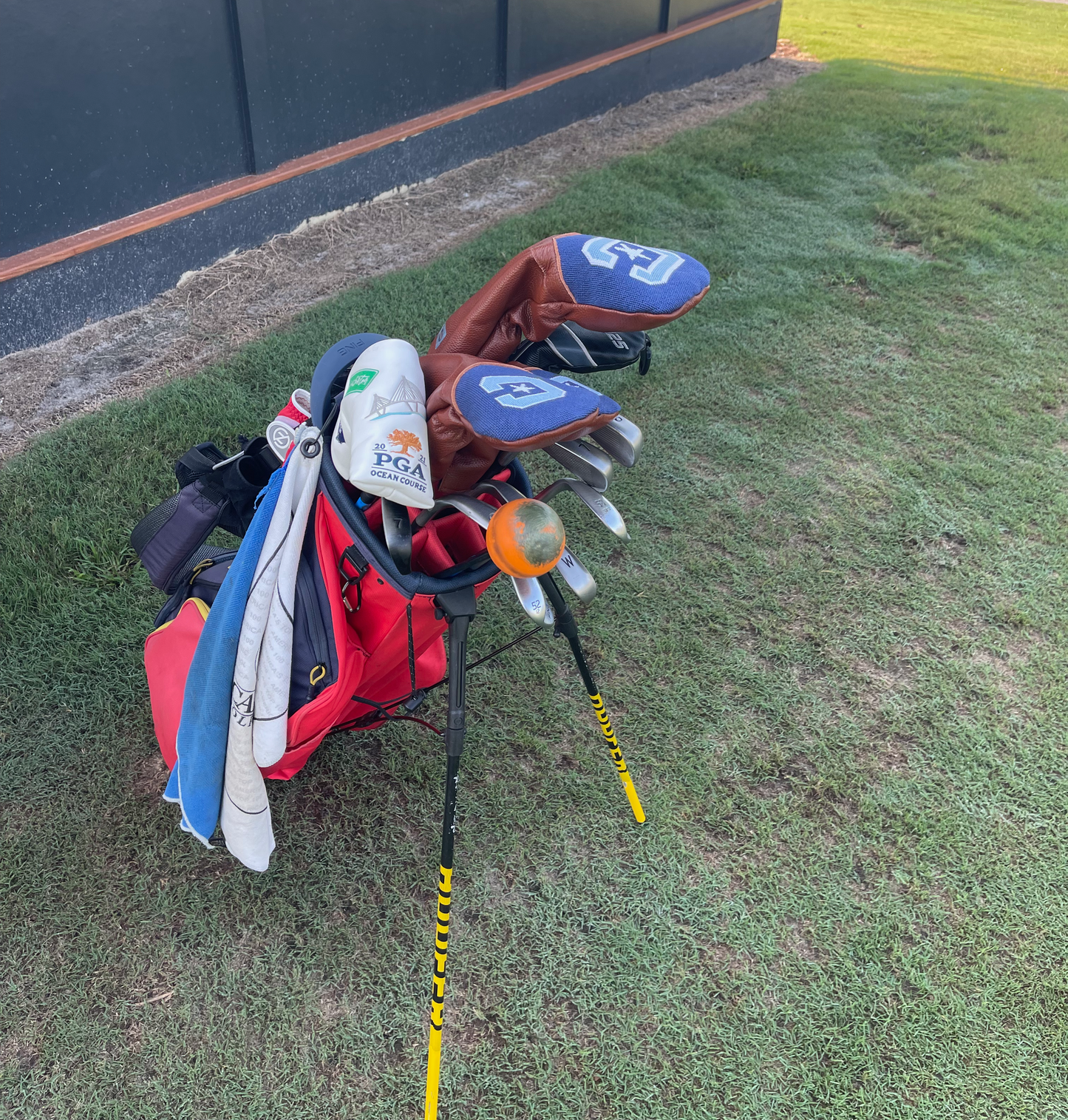 Citadel Logo or Big Red Golf Headcovers