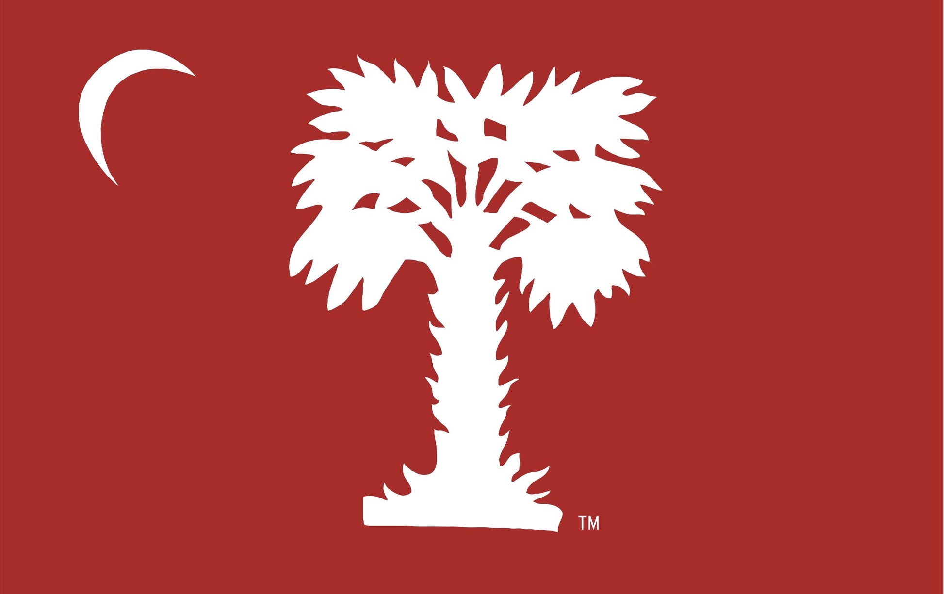 the citadel big red flag