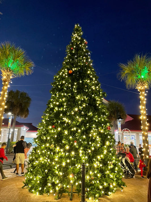 Isle of Palms Holiday Festival