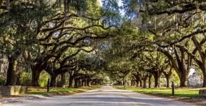 Boone Hall Plantation Gets Conservation Easement