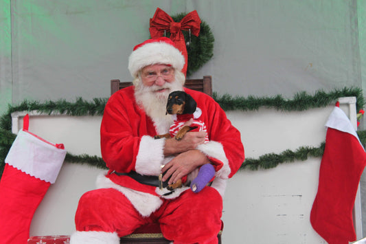 santa claus isle of palms street festival